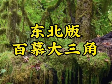 东北长白山秘境原始森林茫茫雪原展现东北自然风光的独特魅力。 #东北旅游 #去哪玩 #自驾游 #旅游景点 #免费景区