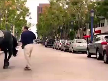 男子作死拍马屁,忽然马蹄向后一蹬,直接被踹飞在地!