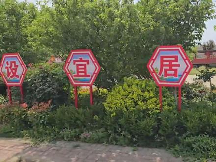钟祥市旧口镇熊桥村#家乡风景 #乡愁记忆 #振兴乡村