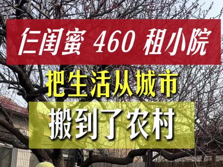 我们都有家庭,租小院只是为了把白天的几个小时搬到自己喜欢的环境里。不再受城市的喧嚣和压抑,来到有天有地的田园里#小院生活 #小院改造 #向往的生活