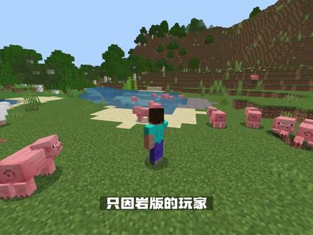 我的世界:Mojang移除特性,千里马小时,基岩农场报废 #我的世界 #Minecraft #猪兔猛进创作匠