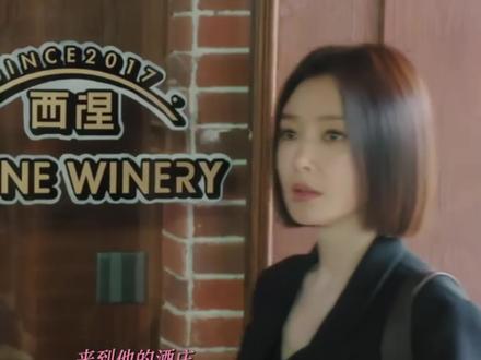 这剧接地气到我有点接受不了 #钟汉良 #秦岚 #亦舞之城