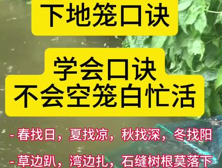 下地笼口诀#下地笼技巧#下地笼口诀 #纯天然河虾 #河虾 #野生河虾