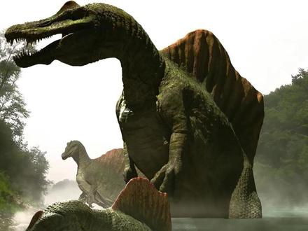 新发现第二种棘龙彻底打破以往对棘龙认知,恐龙界唯一半水生恐龙 #史前巨兽#远古生物 #科普