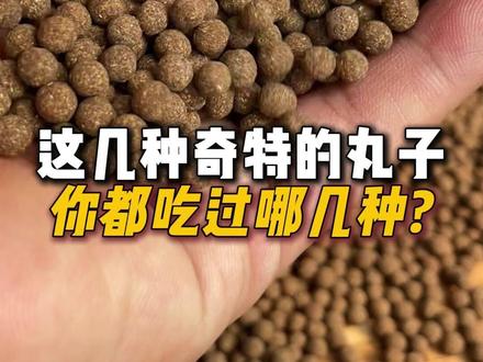 这几种手工中药丸子,你都见过哪几种? #非遗 #手艺人 #科普 #水泛丸 #大蜜丸