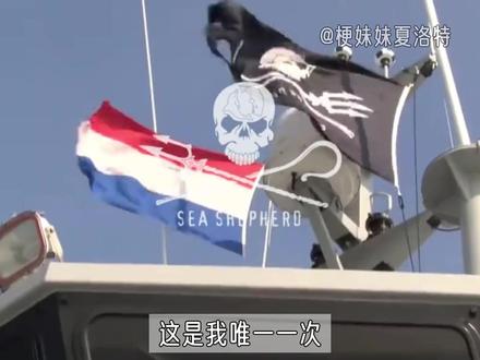 第一次这么支持激进派 #海洋守护者协会 #捕鲸 #seashepherd #内容启发搜索