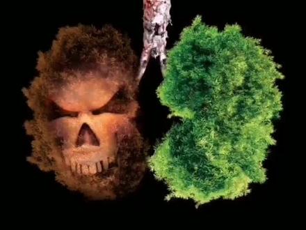 抽一口烟,除了寂寞还有这么多。 @抖音小助手#科普 #健康科普