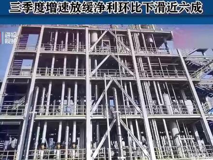 石大胜华股价一周跌去30%
三季度增速放缓净利环比下滑近六成