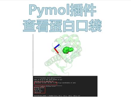 pymol插件快速查看蛋白口袋 #pymol #pymol插件 #蛋白口袋 #科研 #分子对接