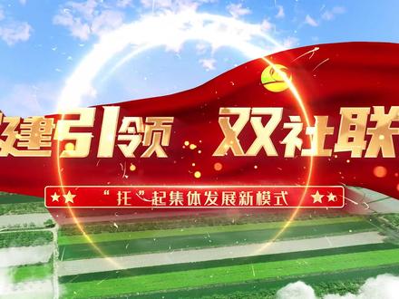 党建引领,双社联动,“托”起集体发展新模式!