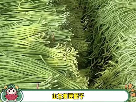 蒜台 #河南 #蒜台 #热门音乐🔥 #上热门 我就不信有河南人真在评论区送蒜台