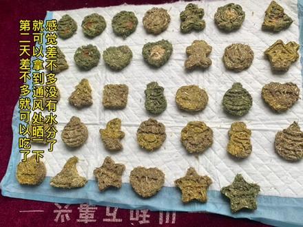 自制草饼你get了吗#兔子 #宠物兔 #宠物出道计划