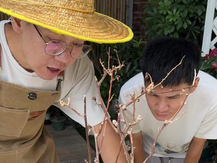 土壤板结的三种原因#养花小知识 #板结