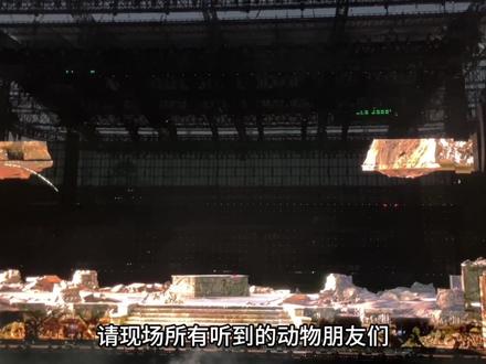 开头+中场的两段后台剧情talk🥺🤏🏻#薛之谦万兽之王巡回演唱会 #抽象 #沉浸式演唱会