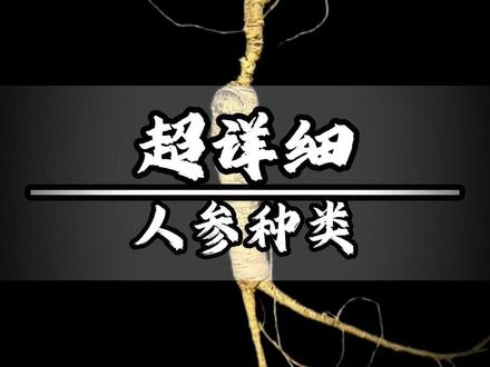 人参品类怎么区分 #野山参 #林下参