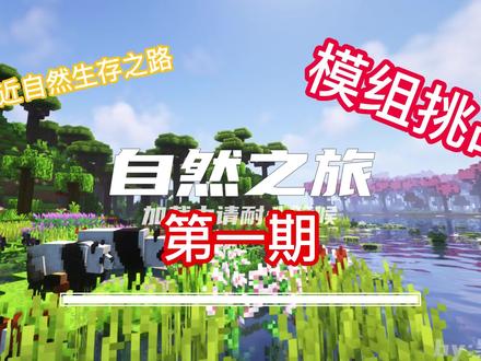自然之旅模组生存 #生存 #游戏 #我的世界 #游戏日常 #中视频伙伴计划