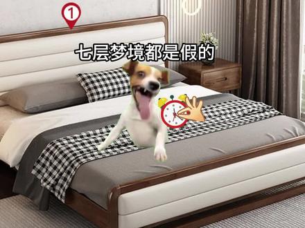 你想挑战一下你七重梦境#猫meme #动画制作 #梦境