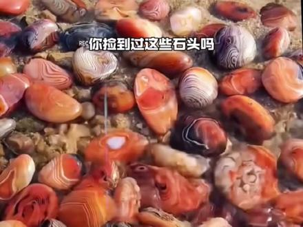 捡到这些石头不要扔,没准真的捡到便宜了! #石来运转 #奇石 #科普 #涨知识 #捡石头