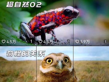 纪录片解说哪里找素材?#纪录片 #科普 #解说 #素材分享