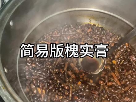 #槐实膏 简易版#中医 给大家试试有没有效果#倪海夏老师讲中医