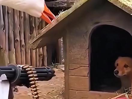 1月26日网络热门信息差 #信息差 #热点新闻事件 #奇闻奇事 #社会百态 #科普