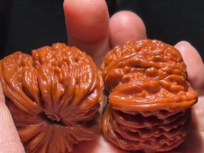 文玩核桃品种大全_文玩核桃品种大全介绍_小众文玩核桃品种大全-抖音