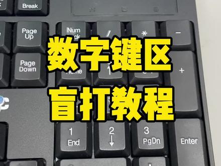 数字键盘区也有盲打方法,大家不要忽略了哦。#0基础学电脑 怎么学,从#键盘知识 开始。后面再学做表就很容易了#电脑小白 #办公表格制作教学 #文员