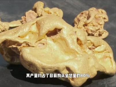 狗头金明明不是纯金,为何比黄金还值钱,捡到它是属于个人还是国家#狗头金 #黄金 #天然奇石 #科普