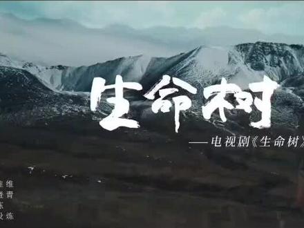 电视剧《生命树》主题曲:生命树🌹👍