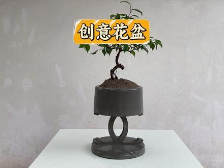 手搓水泥花盆,小伙用纸皮打造出一个结实耐用的花盆 #花盆 #手工制作 #阳台种植 #绿植花卉 #手搓万物