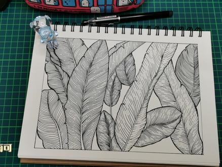 零基础针管笔线描画(控笔练习)系列~芭蕉叶