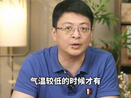 什么叫安吉白茶|一篇入门,全面解析 应该怎么选、怎么泡?它有单芽茶吗?为啥几乎没有手工茶?这期视频,我们聊聊安吉白!#安吉白茶 #绿茶 #白茶 #茶知识 #茶叶