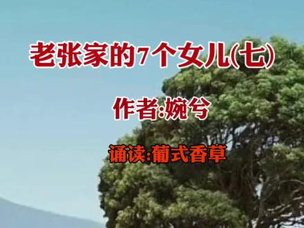 老张家的7个女儿(七