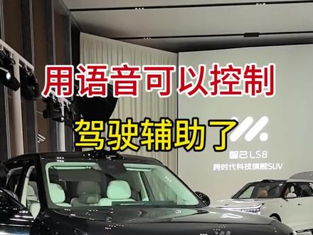 语音控制驾驶辅助,智己LS8有点酷 #智己LS8 #厉害了我的车