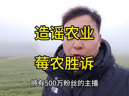 500万粉丝造谣农业的大v,被莓农起诉,赔偿了4万元。 #造谣农业 #农业主播 #草莓谣言