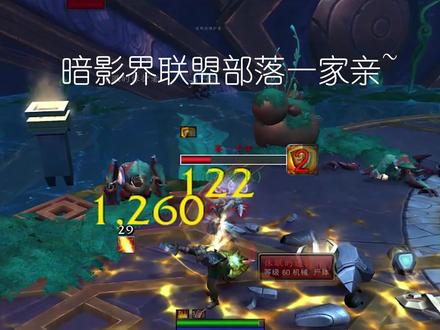 伪装~#魔兽世界 #魔兽世界pvp #圣骑士