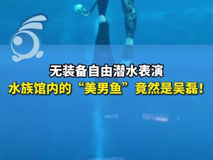 水族馆内的“美男鱼”竟然是吴磊!完成无装备自由潜水表演,网友:偶遇吴磊的地方 永远猜不到。