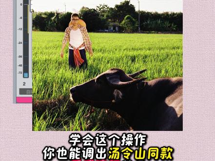 学会这个操作你也能调出汤令山同款质感流行效果
#声卡调试 #调音 #汤令山 #颜色 #我会学会懂事令你安心
