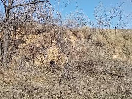 禹州三峰山蒙金交战古战场康王洞,宋高宗赵构避难处