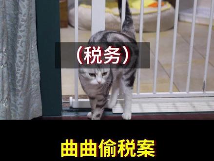 曲曲偷税案,虚假转换收入性质