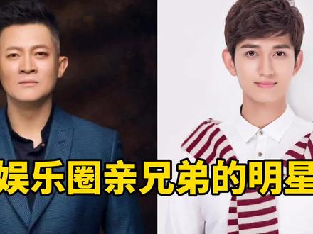 娱乐圈亲兄弟的明星,有的哥哥爱护弟弟,有的是各自打拼