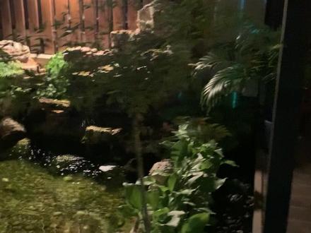 小院夜景一镜到底#别墅花园