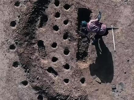 功在当代,利在千秋 #科普 #治理沙漠