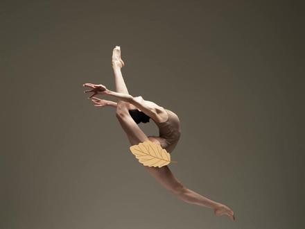 肯定能考上北舞👍来之秋天里所有人的祝福🙏 这个视频把我们搞的热血沸腾的😘这就是来之青春的活力,年轻人拼搏向上的精神,真的是感染了我们全体老师😘爱了爱了😍!#舞蹈摄影 #舞蹈写真 #北京舞蹈摄影 #南京舞蹈摄影 #舞蹈基本功