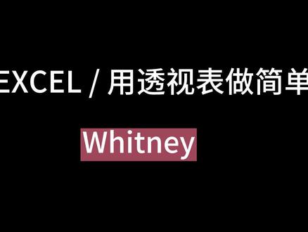 英文版EXCEL 用透视表做简单汇总#excel技巧 #office办公技巧 #干货分享 #专业的事交给专业的人 #实用技术分享