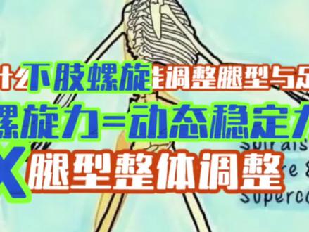 【X型腿】调整 🖐🏿为什么下肢螺旋能调整腿型与足弓?
1. 螺旋力 = 动态稳定力
下肢运动本质是螺旋链传导(如步态周期中胫骨内旋/股骨外旋的耦合)。主动训练螺旋力可平衡肌肉张力(如弱化的臀中肌/过度活跃的阔筋膜张肌)。同时矫正关节对位(股骨内旋→膝内扣→足弓塌陷的连锁反应)
2. 足弓的「螺旋搭建」机制
足弓并非静态穹顶,而是靠三点螺旋力学支撑
-内侧纵弓:胫骨后肌+腓骨长肌形成「悬吊系统」(胫骨后肌内翻→腓骨长肌外翻→动态平衡)
- 横弓:跖骨基底靠腓骨长肌肌腱收紧
- 当足部旋后(跟骨内翻+前足外展),足弓被「拧紧」升高 → 这正是螺旋发力的结果
3. 关节链的矫正逻辑
股骨外旋+胫骨内旋+距下关节旋后:可同步改善:
- 髋关节:激活臀肌抑制髋内旋
- 膝关节:减少Q角,髌骨轨迹正常化
- 踝足:跟骨回归中立,距骨位置复位
#x型腿
#腿型调整
#体态调整
#运动康复
#膝盖疼痛