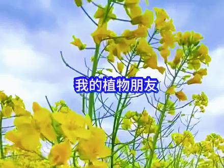 三年级第一单元习作,我的植物朋友。#油菜花季 #我的植物朋友 #作文#作文素材 #作文范文
