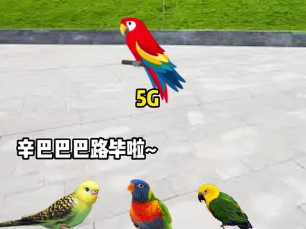 鹦鹉群里网速最快的鹦鹉 #猫meme #不知火舞 #复读机 #倒反天罡 #鹦鹉会说话