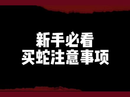 新手买蛇需要注意什么?#新手养蛇 #宠物蛇 #黑王蛇 #爬宠 #守宫