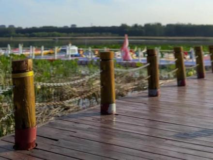 你有多久 没来潮白河了
#你好天津 #点赞天津 #遇见宝坻